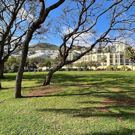 Urso Tigre By Madeira 公寓 *