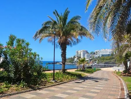 Apartment Urso Tigre By Madeira